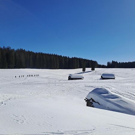 Villa Pokljuka Zgornje Gorje Екстериор снимка