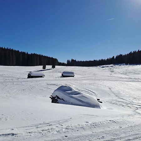Villa Pokljuka Zgornje Gorje Екстериор снимка