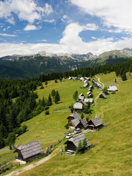 Villa Pokljuka Zgornje Gorje Екстериор снимка