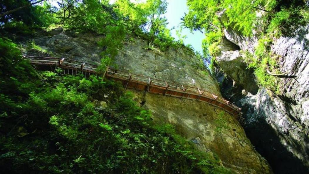 Villa Pokljuka Zgornje Gorje Екстериор снимка