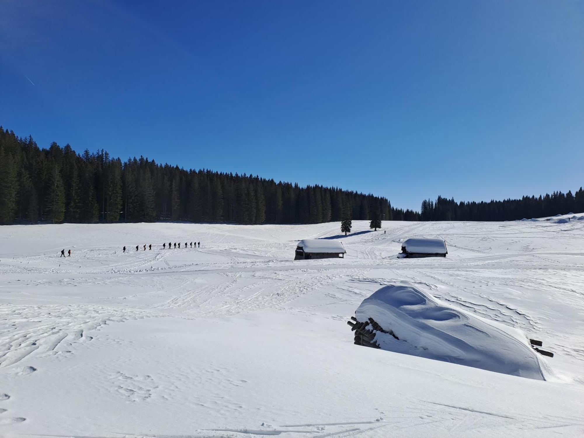 Villa Pokljuka Zgornje Gorje Екстериор снимка