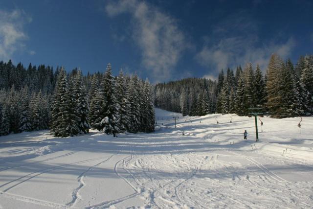 Villa Pokljuka Zgornje Gorje Екстериор снимка