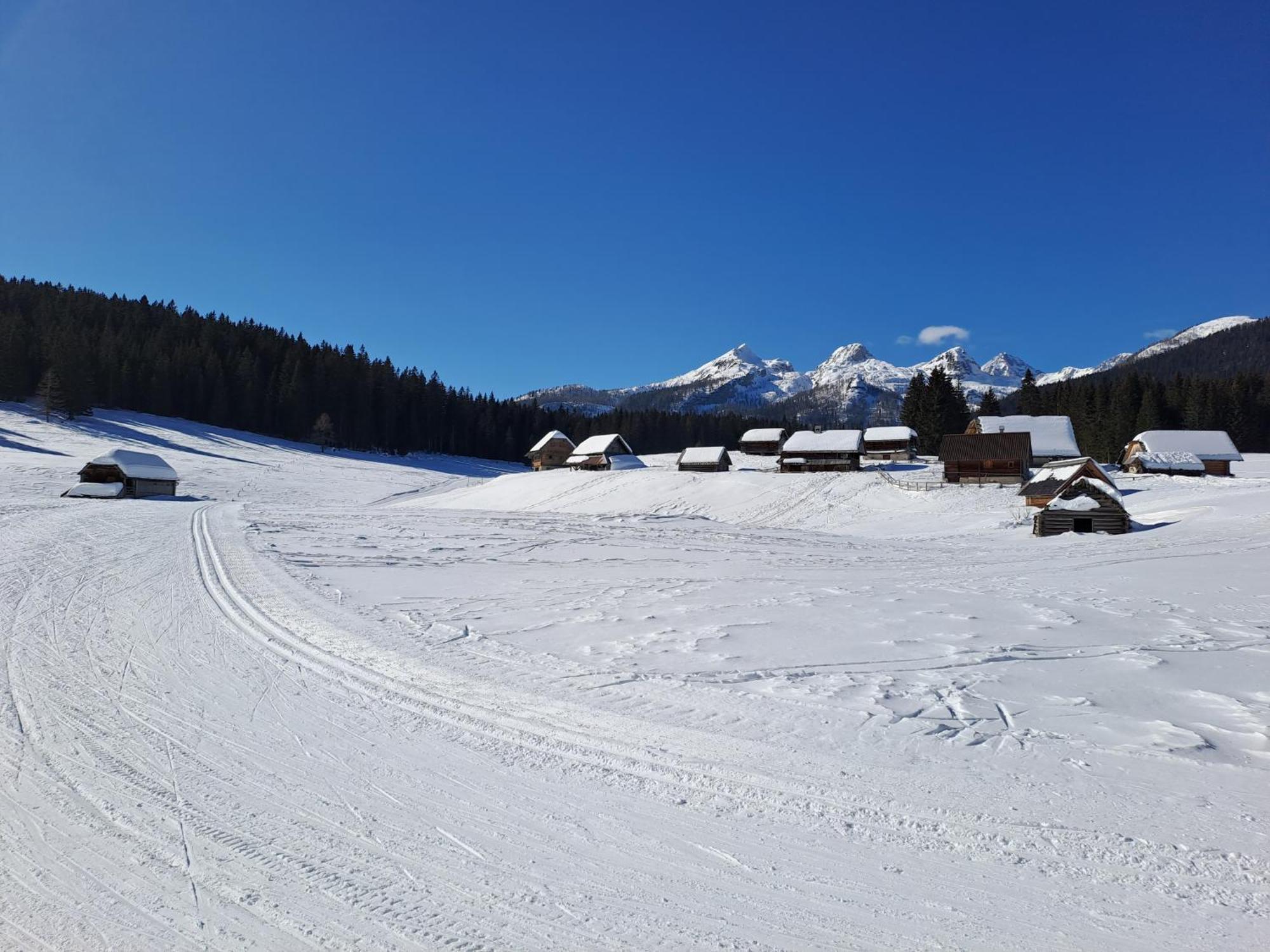 Villa Pokljuka Zgornje Gorje Екстериор снимка