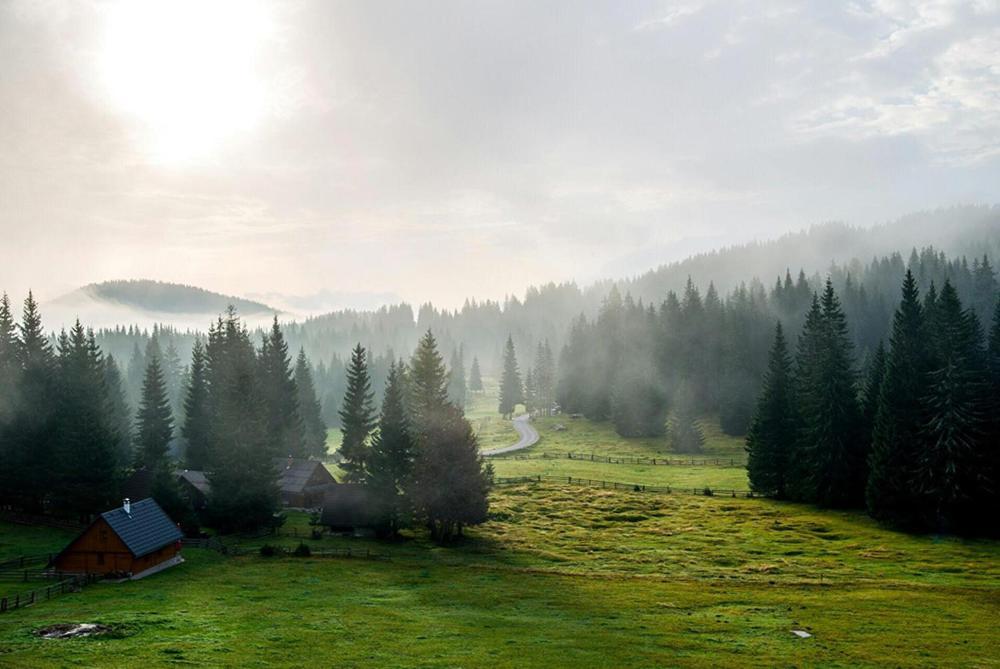 Villa Pokljuka Zgornje Gorje Екстериор снимка