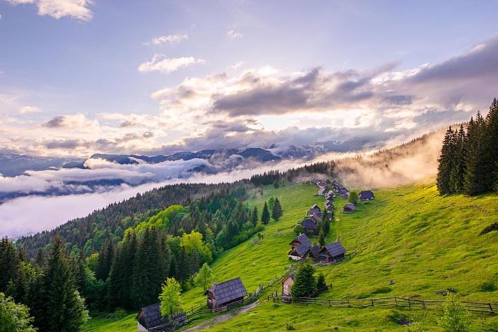 Villa Pokljuka Zgornje Gorje Екстериор снимка