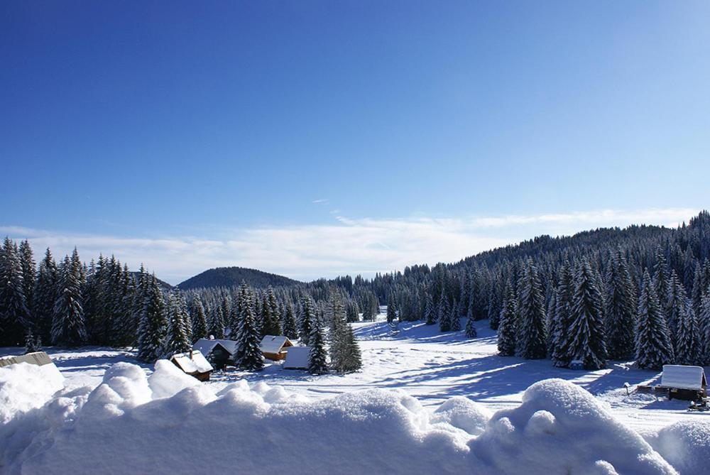 Villa Pokljuka Zgornje Gorje Екстериор снимка